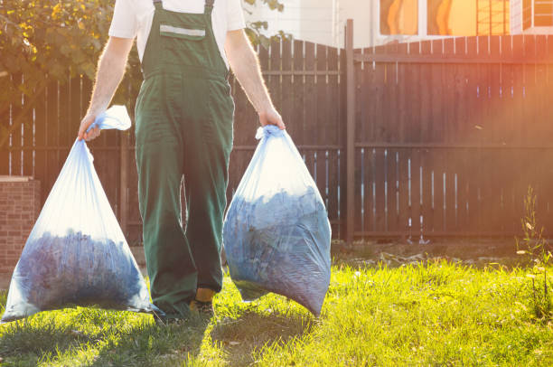 Best Same-Day Junk Removal Services  in Mount Clemens, MI