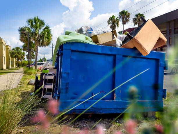 Best Same-Day Junk Removal Services  in Mount Clemens, MI